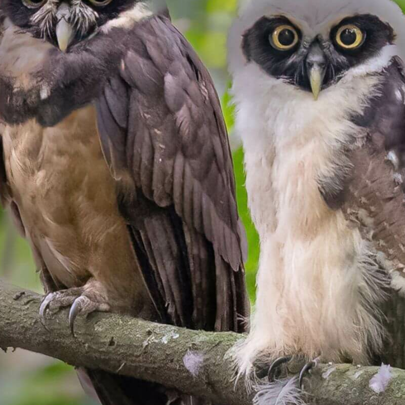 La Selva