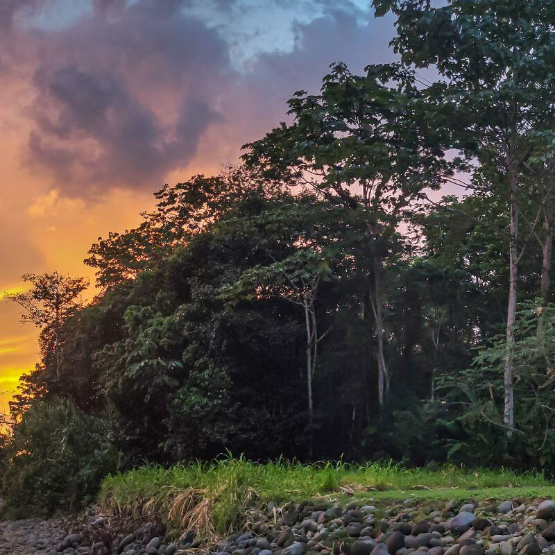La Selva