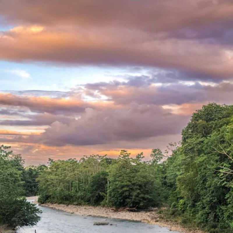 La Selva