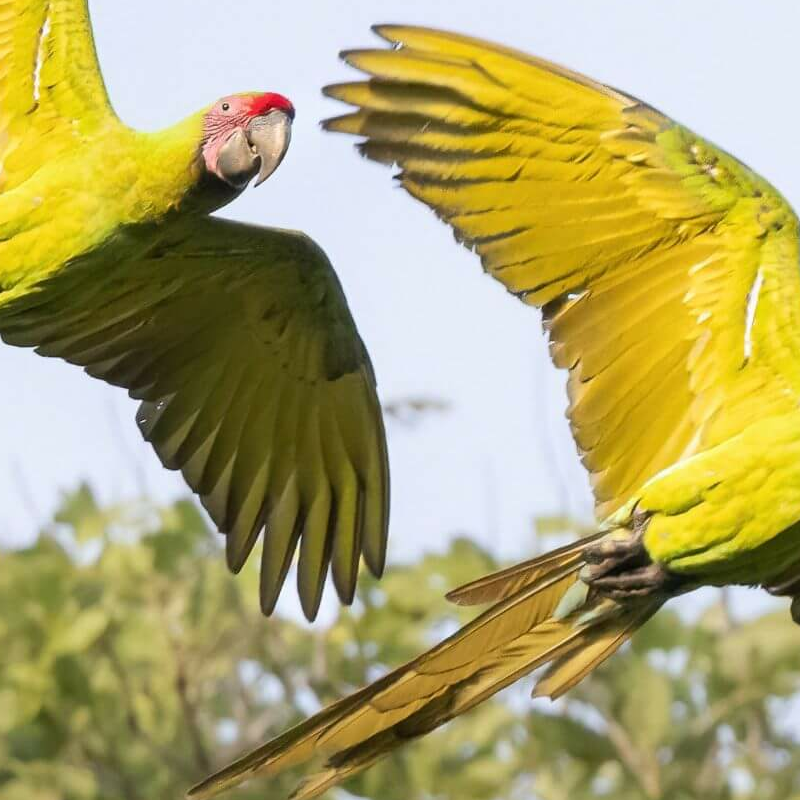 La Selva