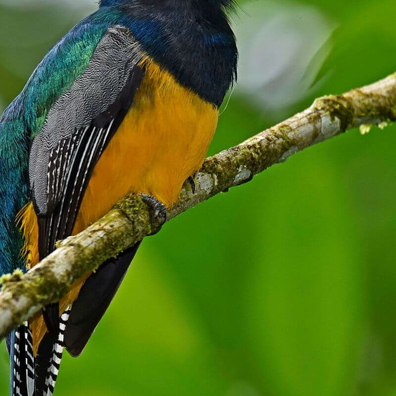 La Selva