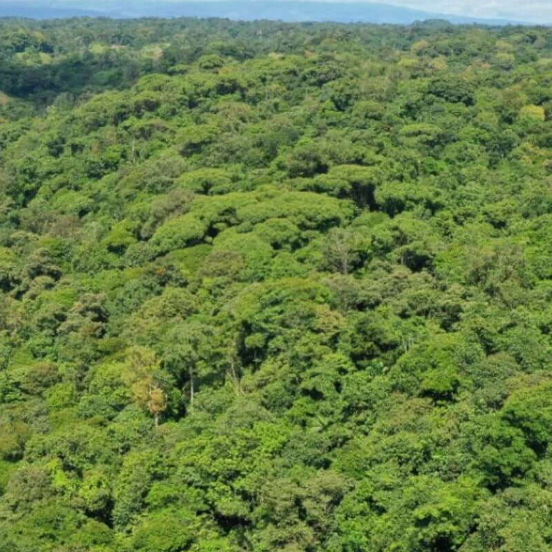 La Selva
