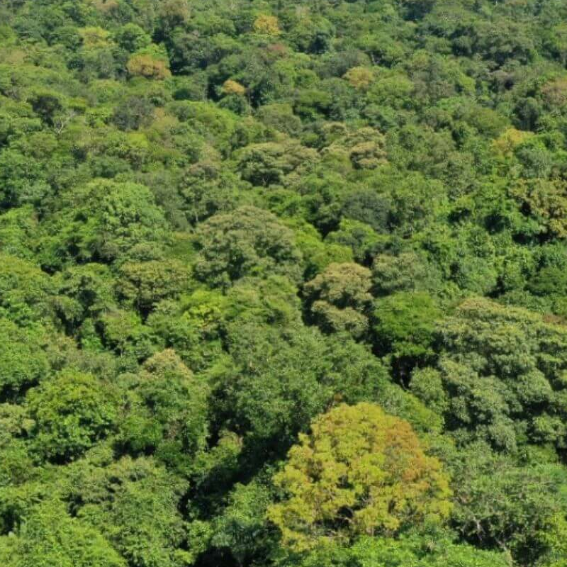 La Selva