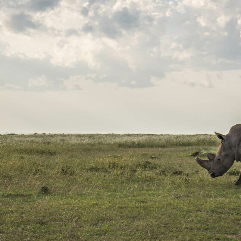 Laikipia