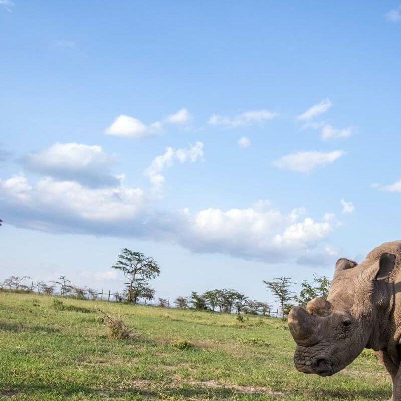 Laikipia