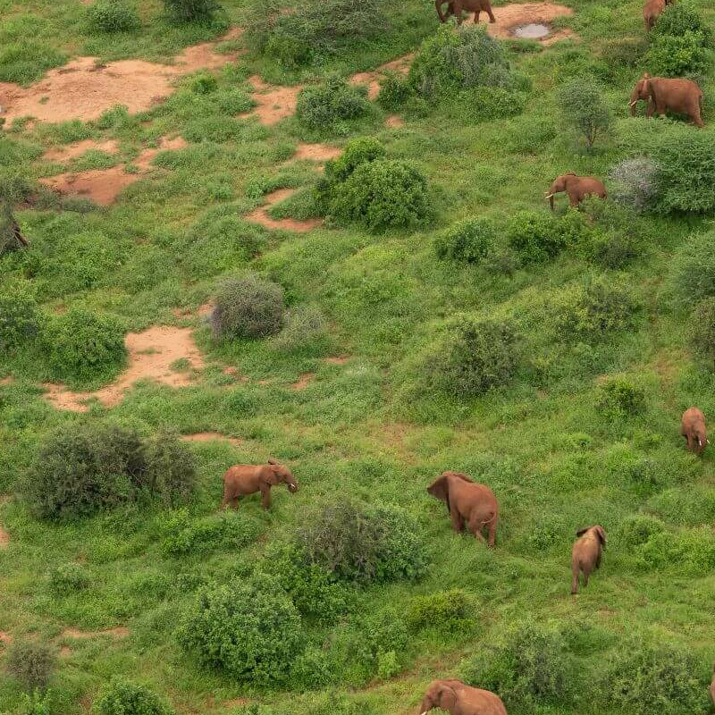 Laikipia