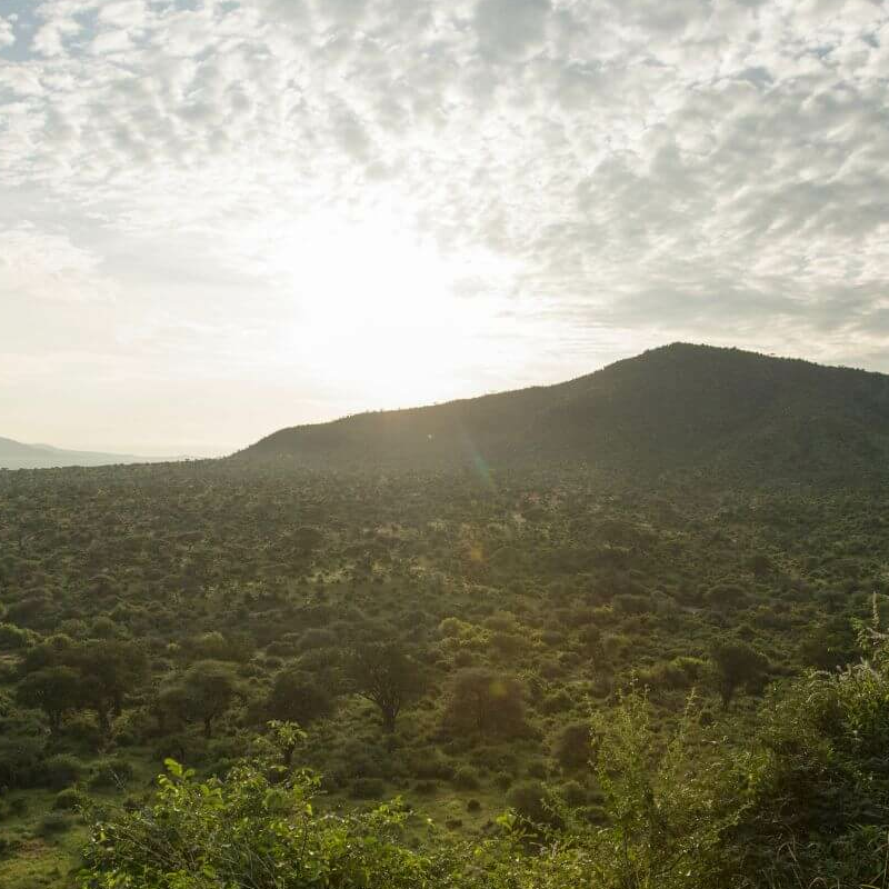 Laikipia