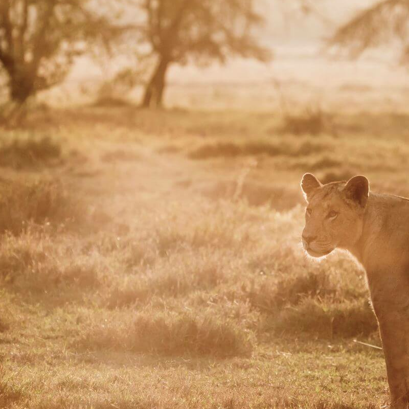 Laikipia