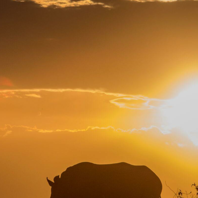 Laikipia