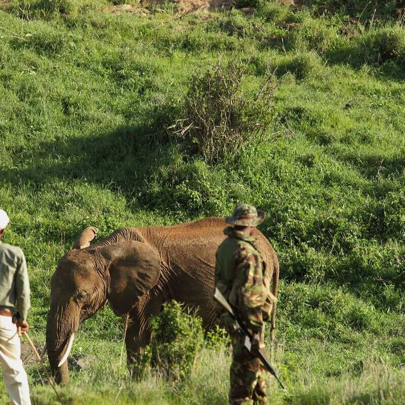 Laikipia