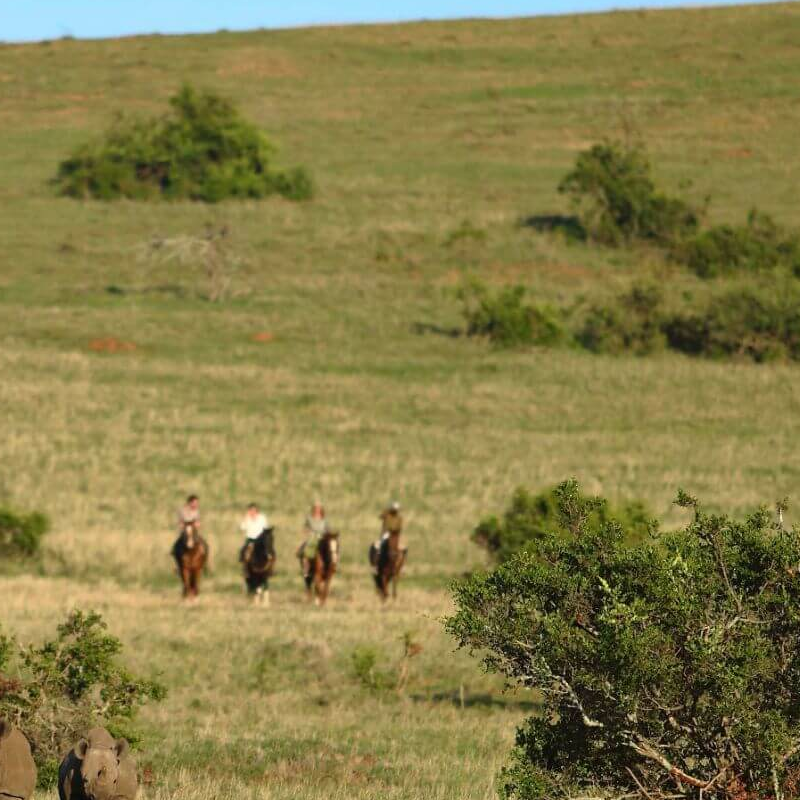 Laikipia