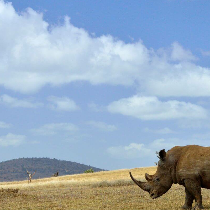 Laikipia