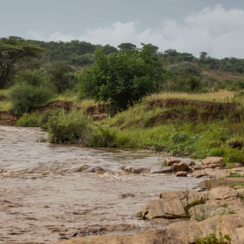 Laikipia
