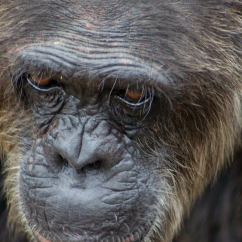 Laikipia
