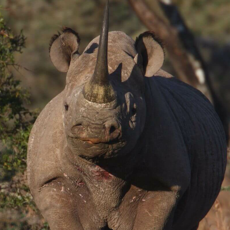 Laikipia