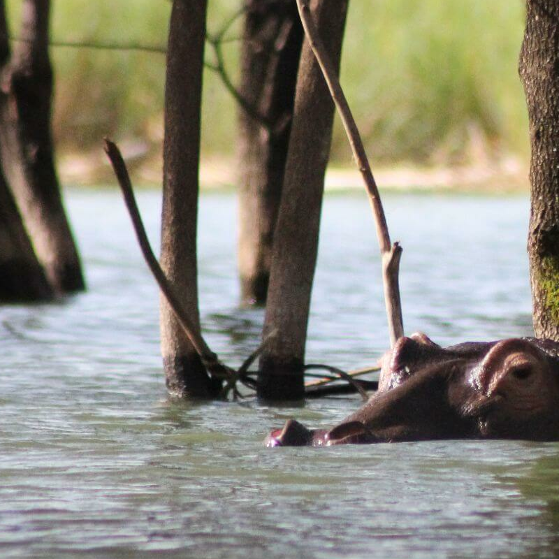 Lake Baringo