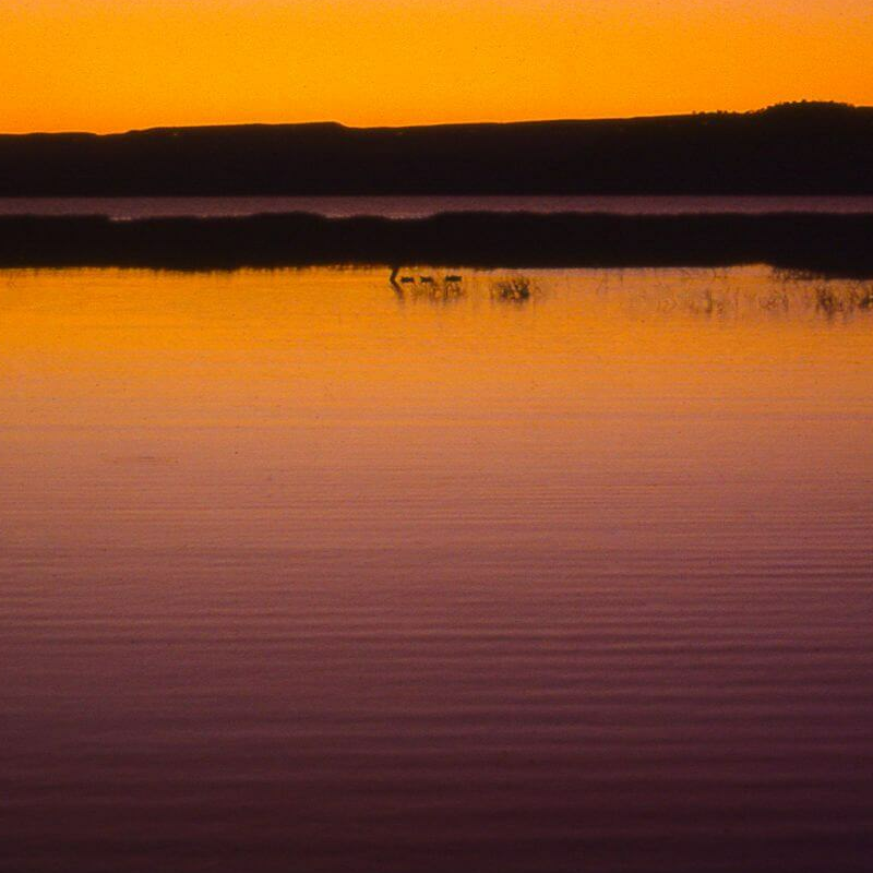 Lake Baringo