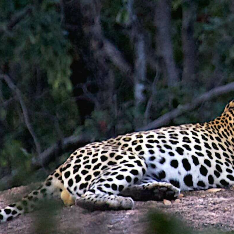 Lake Kariba