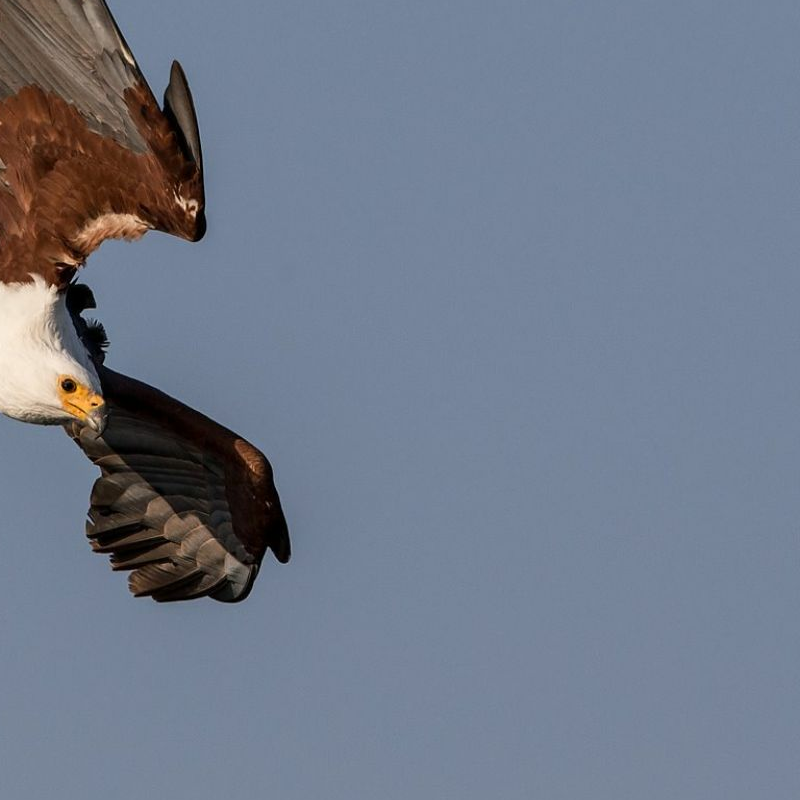 Lake Kariba