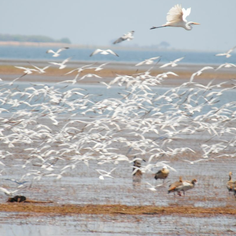 Lake Kariba