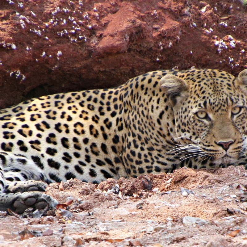 Lake Kariba