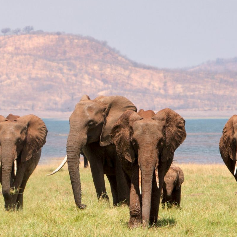 Lake Kariba