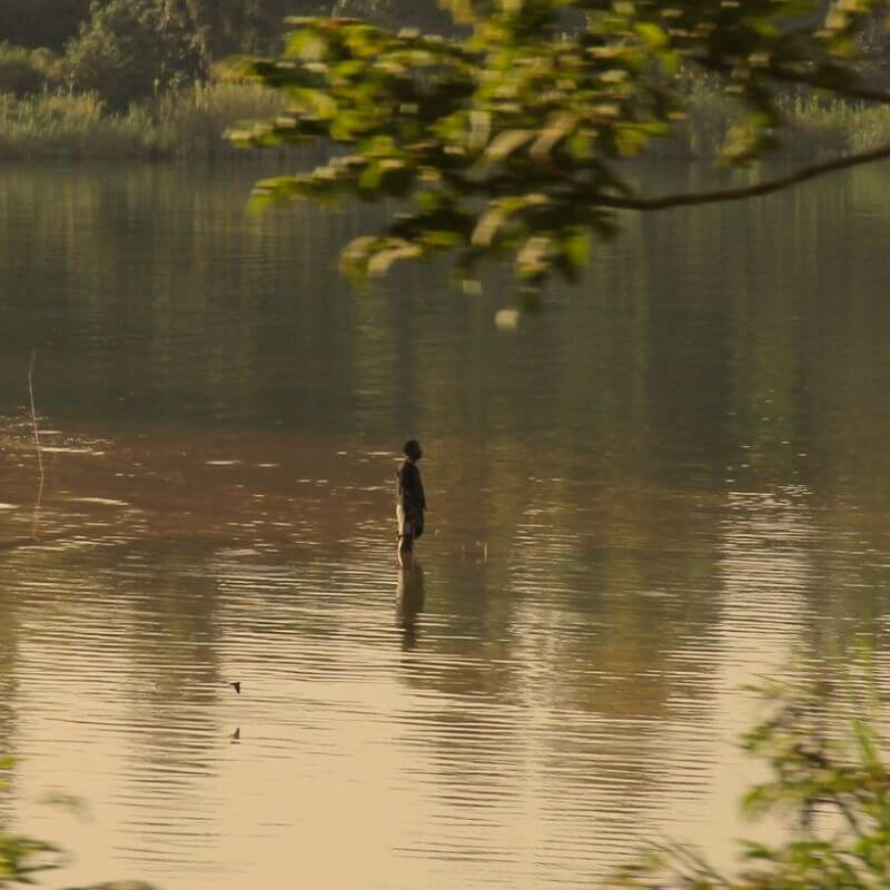 Lake Kivu