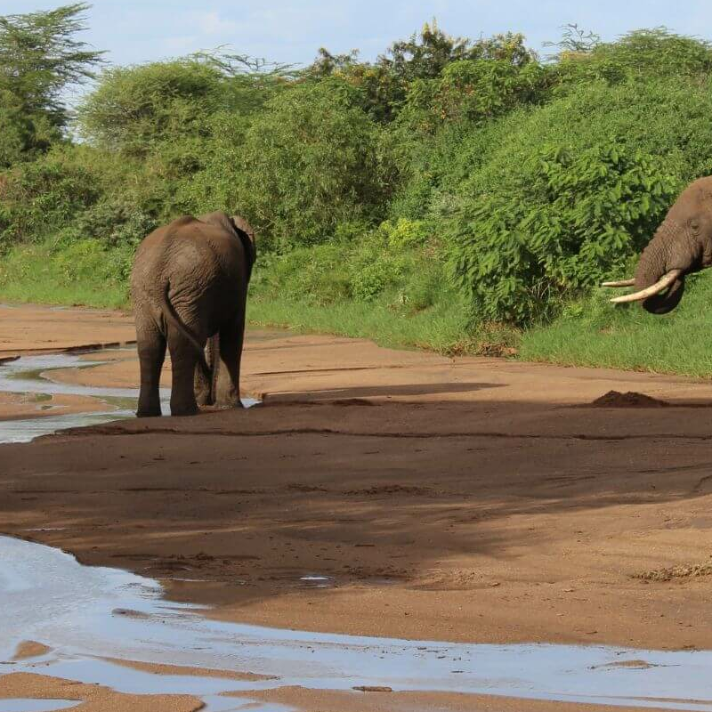 Lake Manyara Nationalpark