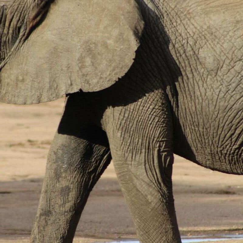 Lake Manyara Nationalpark
