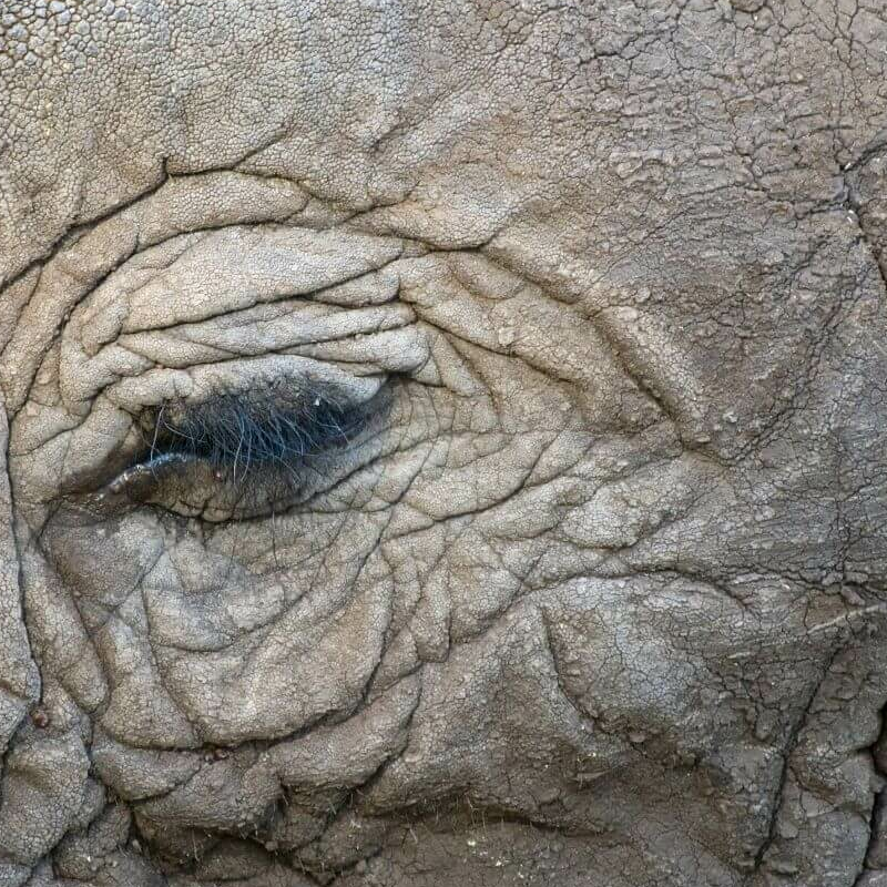 Lake Manyara Nationalpark
