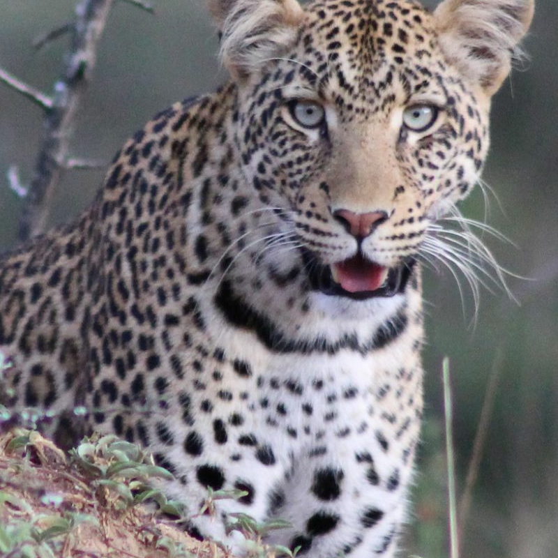 Lake Mburo Nationalpark