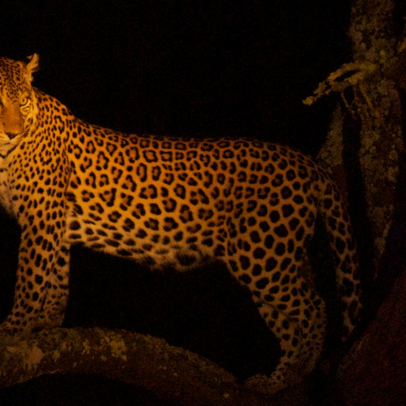 Lake Mburo Nationalpark