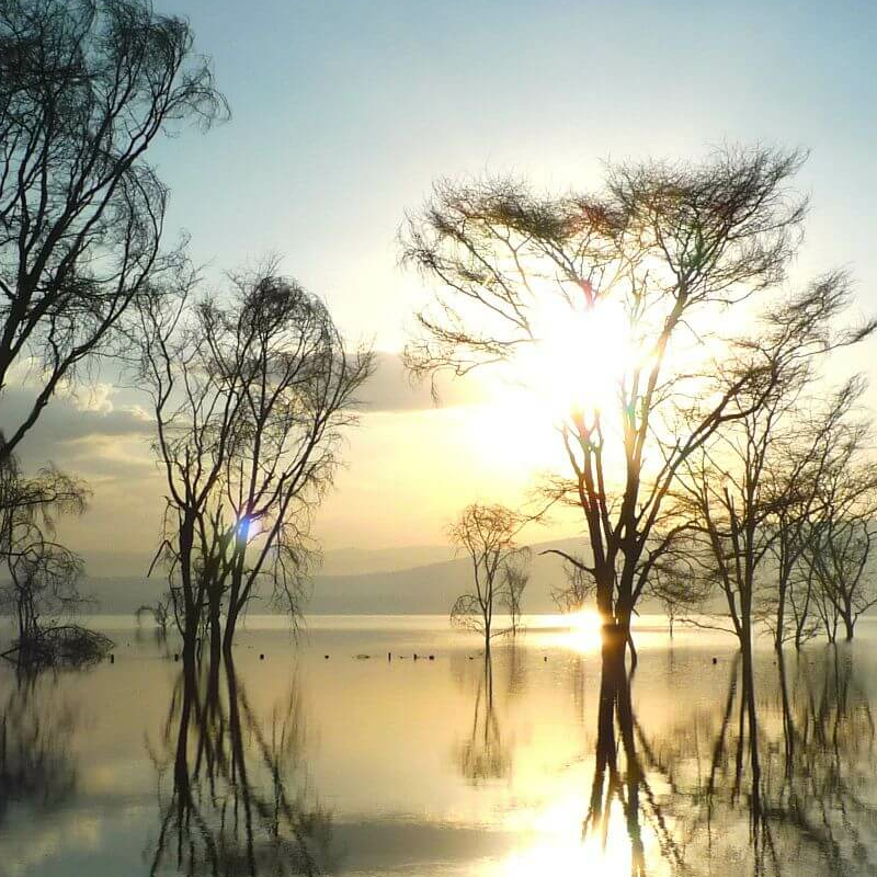Lake Nakuru