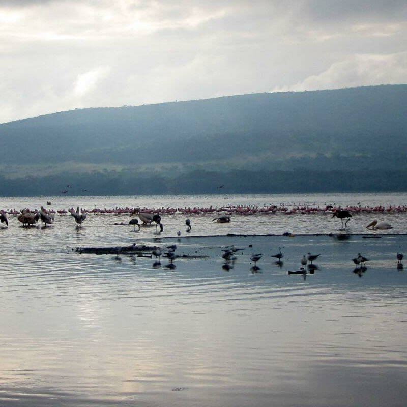 Lake Nakuru