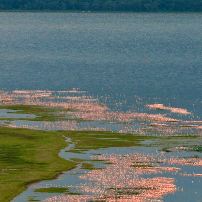 Lake Nakuru