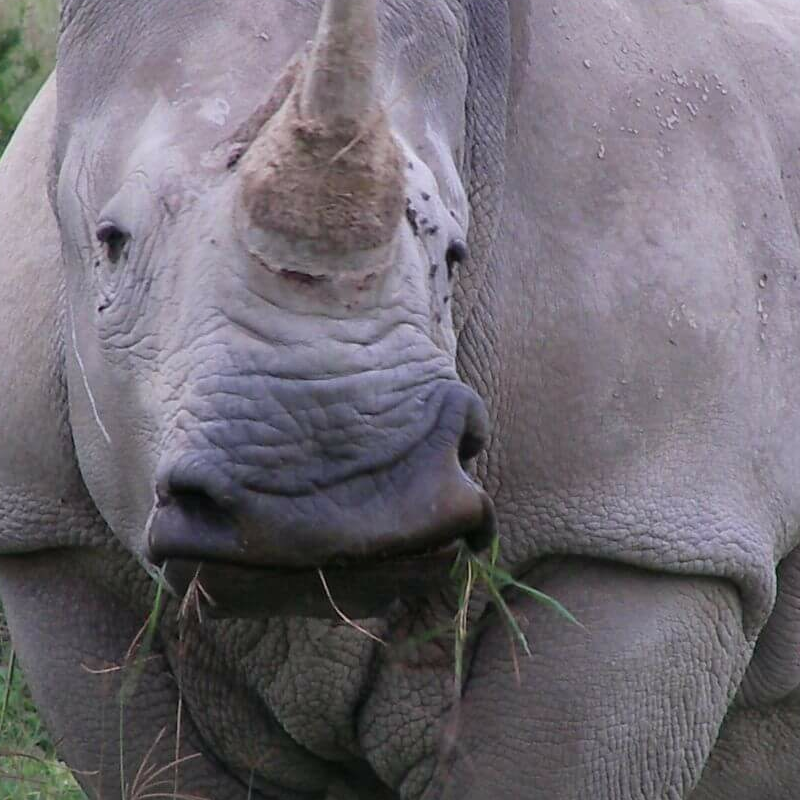 Lake Nakuru