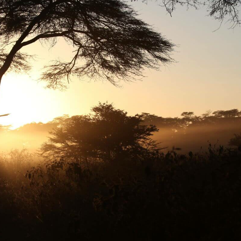 Lake Nakuru