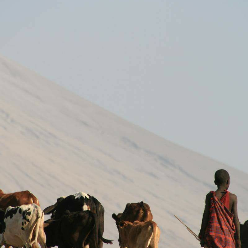 Lake Natron