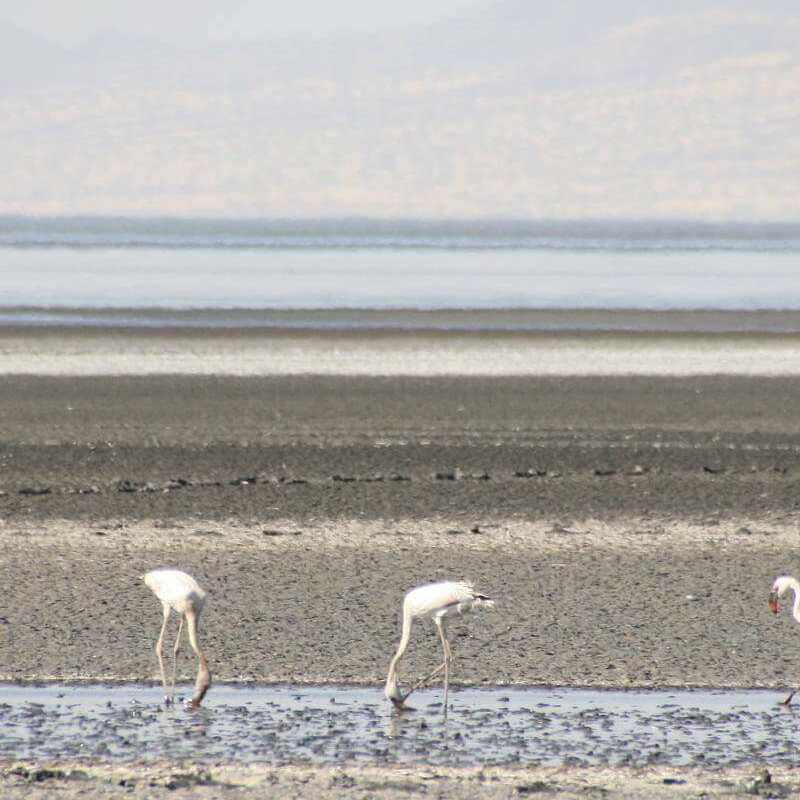 Lake Natron