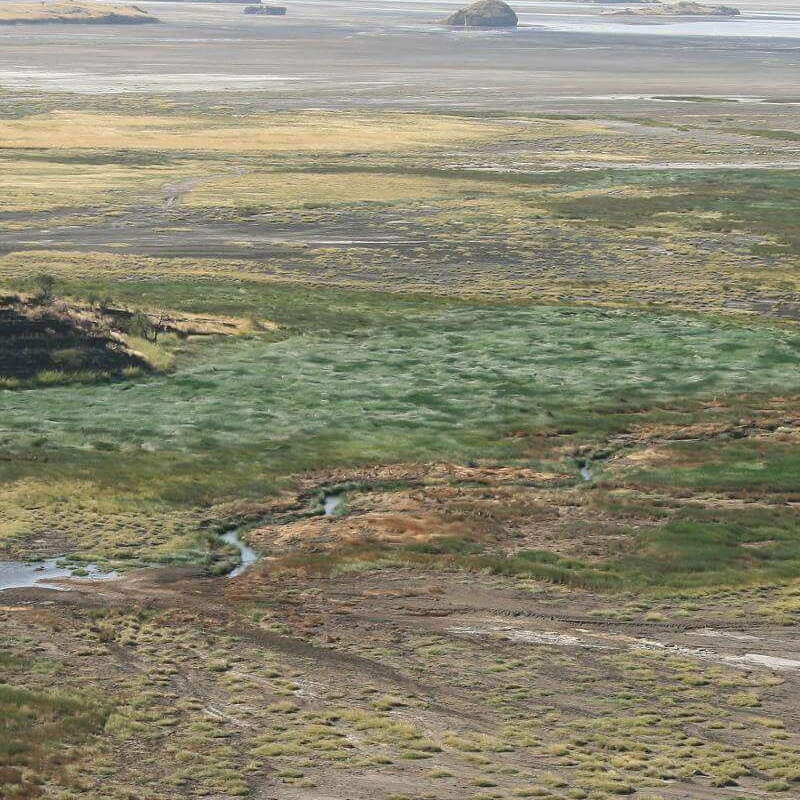 Lake Natron