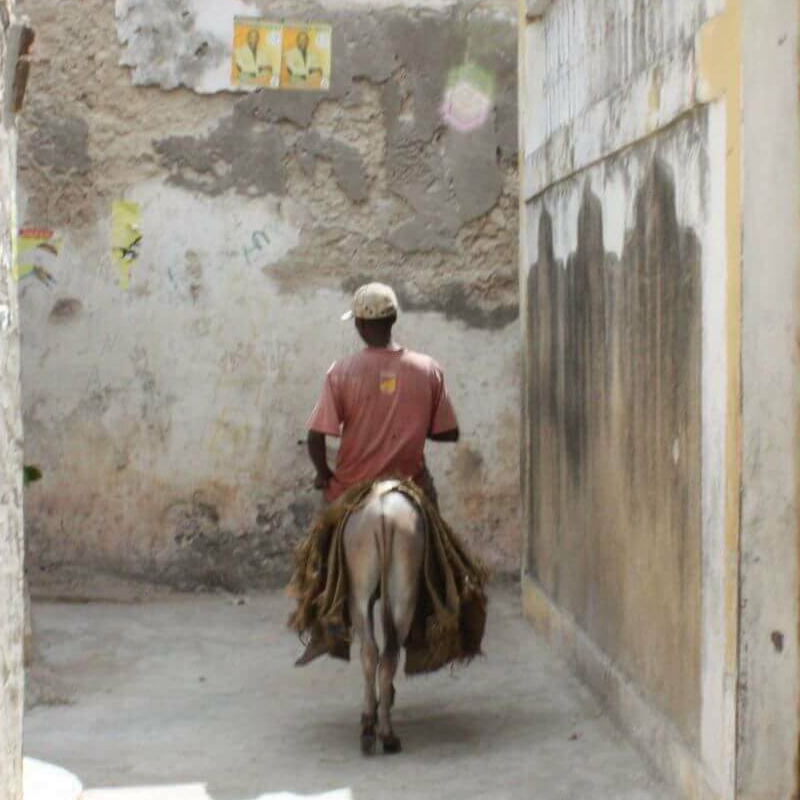 Lamu Town