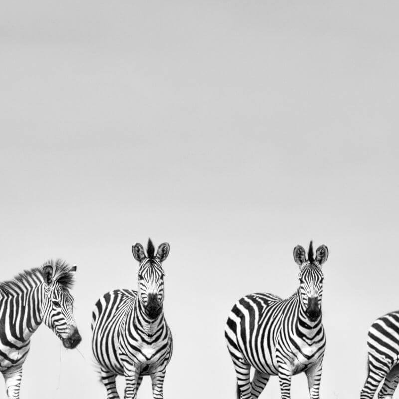 Liuwa Plain Nationalpark