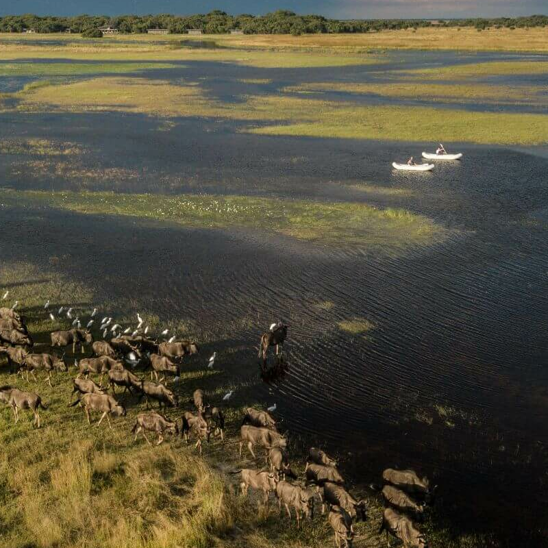 Liuwa Plain Nationalpark