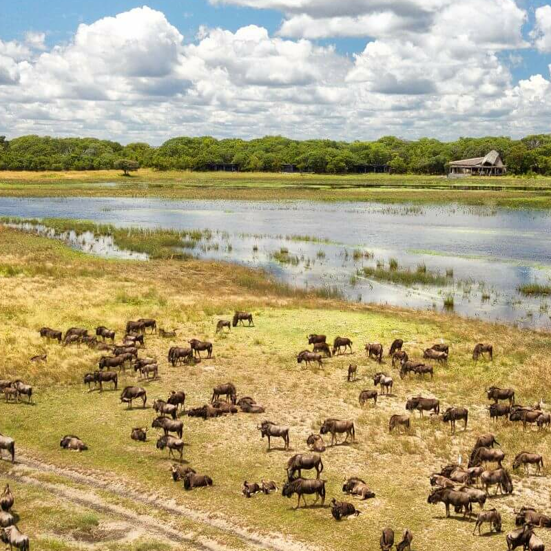 Liuwa Plain Nationalpark