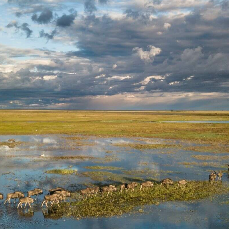 Liuwa Plain Nationalpark