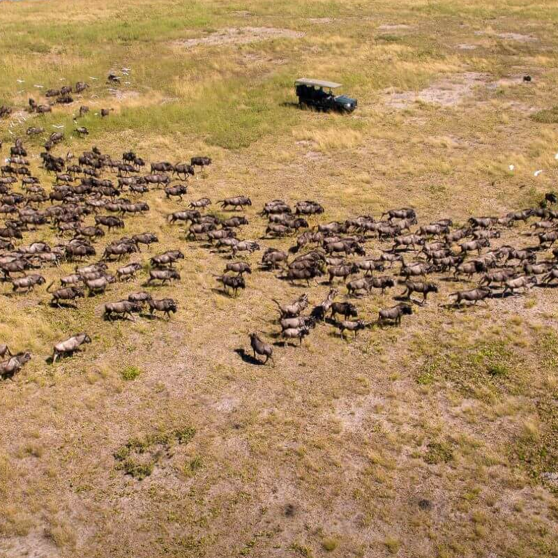 Liuwa Plain Nationalpark
