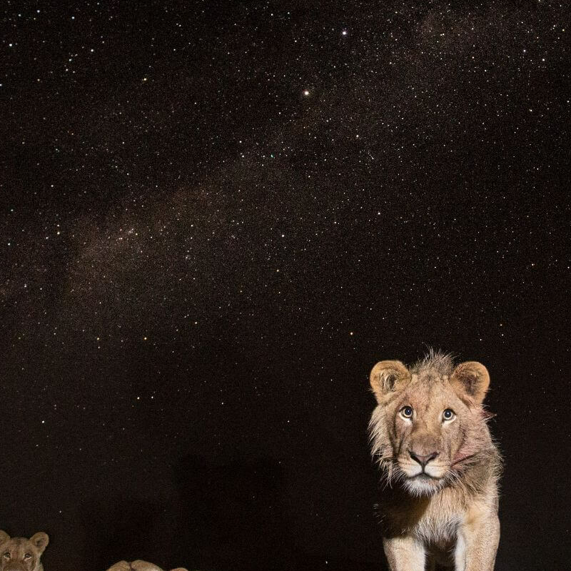 Liuwa Plain Nationalpark