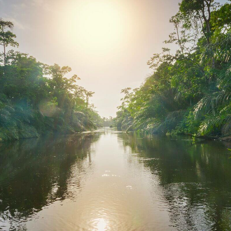 Loango Nationalpark