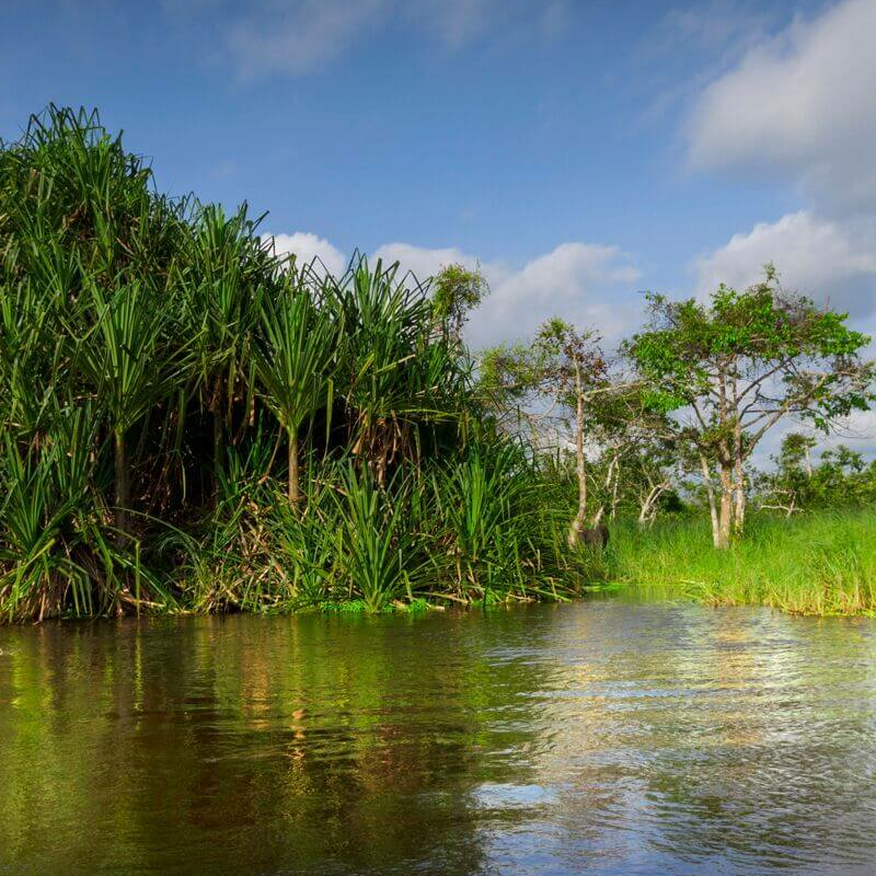 Loango Nationalpark