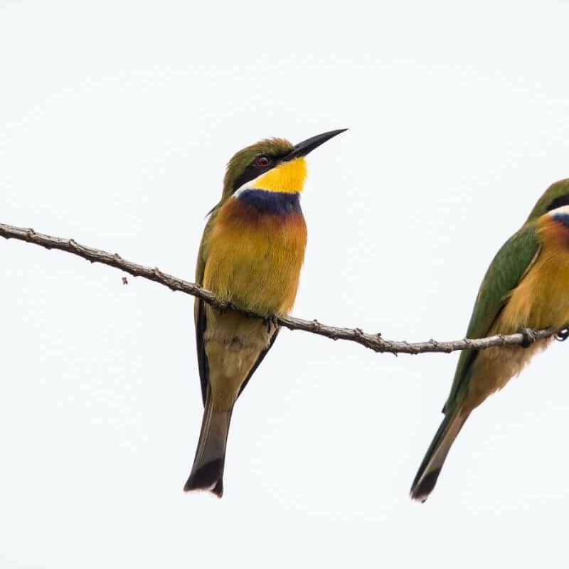 Loango Nationalpark
